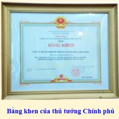 Thành tích công ty đạt được qua các năm từ 2000 - 2009